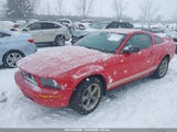 FORD MUSTANG V6 1ZVFT80N765246595 снимка