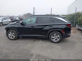 HYUNDAI TUCSON SEL 5NMJB3DE3RH343369 снимка