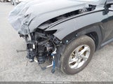 HYUNDAI TUCSON SEL 5NMJB3DE3RH343369 снимка