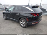 HYUNDAI TUCSON SEL 5NMJB3DE3RH343369 снимка