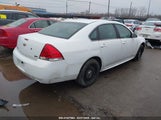 CHEVROLET IMPALA LIMITED POLICE 2G1WD5E3XE1174984 photo
