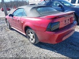 FORD MUSTANG 1FAFP44694F219365 снимка