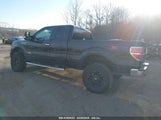 FORD F-150 XLT 1FTFX1ET4BFB34248 снимка