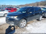 ACURA MDX 2HNYD2H22DH503405 снимка