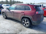 JEEP CHEROKEE LIMITED 4X4 1C4PJMDN5KD291759 снимка
