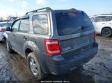 FORD ESCAPE XLT 1FMCU0D70AKB62365 снимка