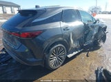LEXUS RX 350H PREMIUM PLUS 2T2BBMCA5RC038305 fotografie