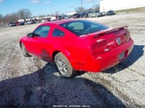 FORD MUSTANG V6 DELUXE/V6 PREMIUM 1ZVFT80N655144817 снимка
