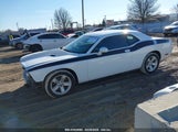 DODGE CHALLENGER SXT 2C3CDYAGXDH674738 снимка