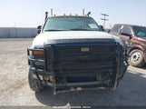 FORD F-550 CHASSIS XL/XLT 1FDAF56Y48ED17304 снимка