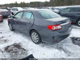 TOYOTA COROLLA LE 2T1BU4EE4DC055099 fotografie