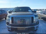 FORD F-150 XLT 1FTFW1ETXBFA53080 снимка