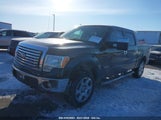 FORD F-150 XLT 1FTFW1ETXBFA53080 снимка