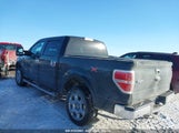 FORD F-150 XLT 1FTFW1ETXBFA53080 снимка