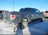 FORD F-150 XLT 1FTFW1ETXBFA53080 снимка