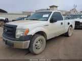 FORD F-150 XL 1FTMF1CMXDFA94119 снимка