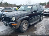 JEEP LIBERTY LIMITED EDITION 1J8GL58K74W273411 fotografie
