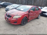 TOYOTA COROLLA LE 2T1BU4EE1AC282116 снимка