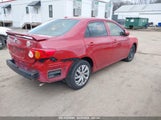 TOYOTA COROLLA LE 2T1BU4EE1AC282116 снимка