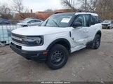 FORD BRONCO SPORT BADLANDS 3FMCR9D9XPRE33654 fotografie