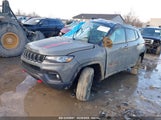 JEEP COMPASS TRAILHAWK 3C4NJDDN9PT559799 снимка
