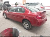 DODGE NEON SXT 1B3ES56C45D259395 fotografie
