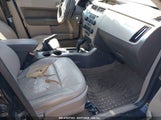 FORD FOCUS SEL 1FAHP3HN9BW164787 снимка