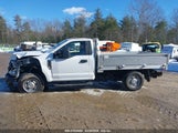 FORD F-250 XL 1FDBF2A64MED31724 снимка