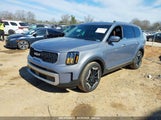 KIA TELLURIDE EX 5XYP3DGC1RG492199 fotografie