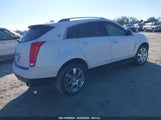 CADILLAC SRX PERFORMANCE COLLECTION 3GYFNBEY5AS643583 снимка