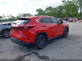 LEXUS NX 250 2T2ADCAZ8SC018984 fotografie