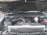 DODGE RAM 1500 SLT/SPORT/TRX 1D7RB1GT6AS112613 photo