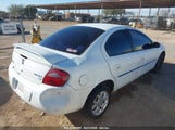 DODGE NEON SE 1B3ES26C33D158585 снимка