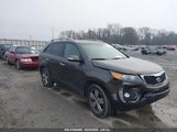 KIA SORENTO EX V6 5XYKU4A23CG302594 снимка