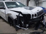 JEEP CHEROKEE TRAILHAWK ELITE 4X4 1C4PJMBX6LD557344 fotografie