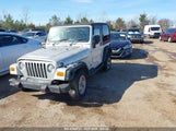 JEEP WRANGLER SPORT RHD 1J4F449SX4P780560 fotografie