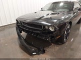 DODGE CHALLENGER SXT 2C3CDYAG6DH675904 снимка