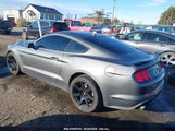 FORD MUSTANG GT PREMIUM FASTBACK 1FA6P8CF9M5117126 снимка