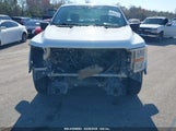 FORD F-150 XL 1FTMF1CB3MKF00909 снимка