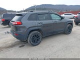 JEEP CHEROKEE TRAILHAWK 1C4PJMBS5GW241433 снимка