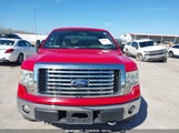 FORD F-150 FX4/HARLEY-DAVIDSON/KING RANCH/LARIAT/PLATINUM/XL/XLT 1FTFW1EV0AFC77071 снимка