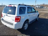 FORD ESCAPE XLT 1FMCU93178KD32359 fotografie