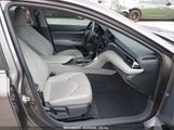 TOYOTA CAMRY HYBRID SE 4T1G31AK5RU629041 photo