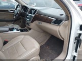 MERCEDES-BENZ ML 350 4MATIC 4JGDA5HB0EA395974 снимка