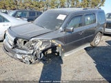 HONDA PILOT EX-L 5FNYF4H59BB040610 fotografie