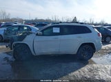 JEEP CHEROKEE HIGH ALTITUDE 4X4 1C4PJMDX1KD378138 fotografie