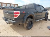 FORD F-150 FX4/HARLEY-DAVIDSON/KING RANCH/LARIAT/PLATINUM/XL/XLT 1FTFW1EV1AFB76878 fotografie