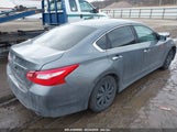 NISSAN ALTIMA 2.5/2.5 S/2.5 SL/2.5 SR/2.5 SV 1N4AL3AP2GC229173 fotografie