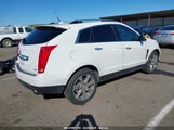 CADILLAC SRX PERFORMANCE COLLECTION 3GYFNEE33CS585109 photo