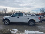 FORD F-150 XL 1FTFX1EF1BFC08039 снимка